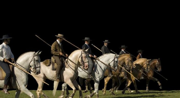 Arte Equestre Portuguesa é inscrita na Lista do Patrimônio Imaterial da Unesco