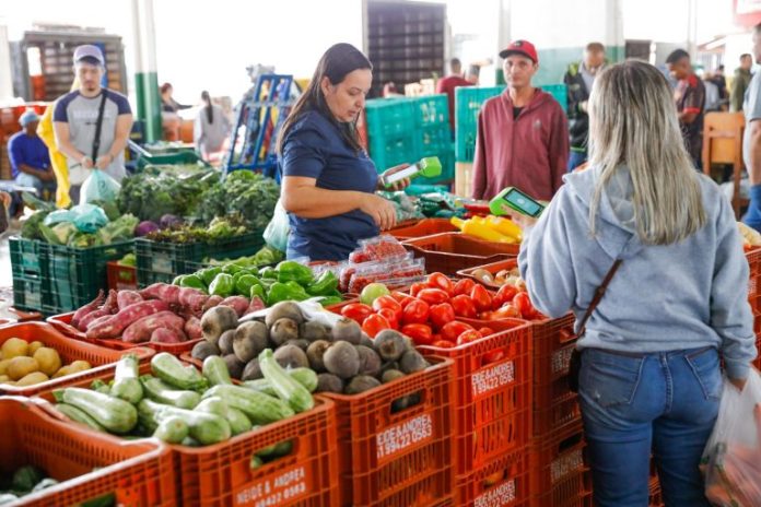 Comissão debate modernização das Ceasas - Notícias