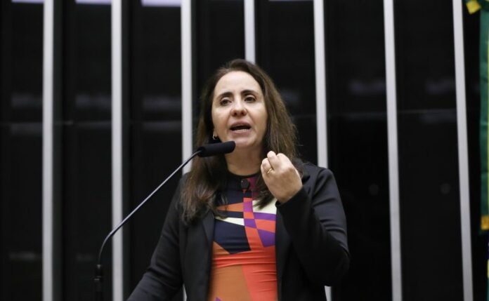 Deputada Adriana Ventura fala ao microfone