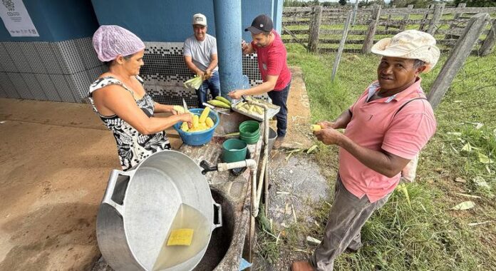 Banco Mundial defende novas políticas públicas para setor agroalimentar