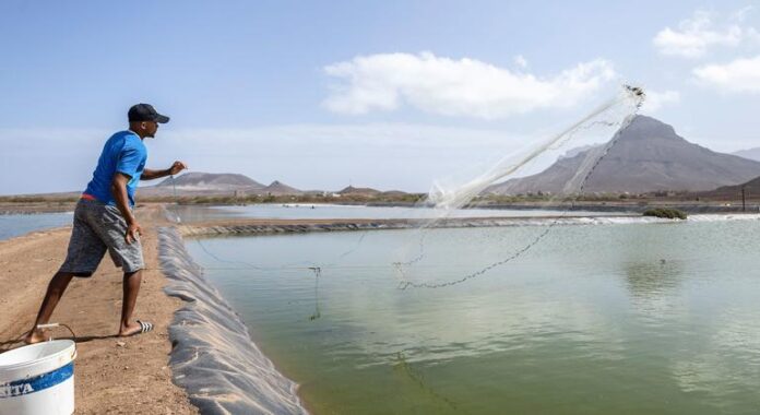 FMI conclui visita a Cabo Verde sob otimismo com desempenho da economia