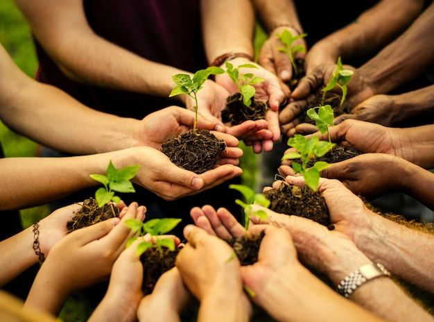 Licenciamento ambiental com responsabilidade e resultado