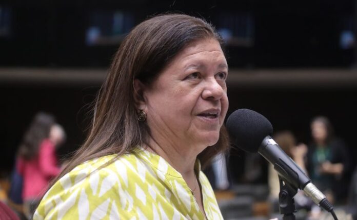 Discussão e Votação de Propostas Legislativas. Dep. Laura Carneiro (PSD - RJ)