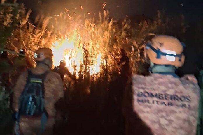 A imagem mostra um incêndio florestal à noite, com chamas intensas e faíscas voando. No primeiro plano, há várias pessoas vestindo uniformes de combate a incêndios, com capacetes e coletes, observando a cena. A vegetação ao redor é densa e escura, contrastando com a luz das chamas.