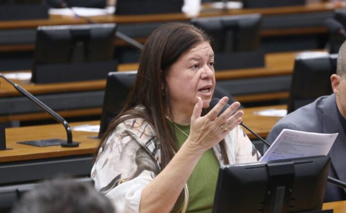 Comissão aprova incentivo a práticas sustentáveis como diretriz da política Discussão e votação de propostas legislativas. Dep. Laura Carneiro (PSD - RJ)