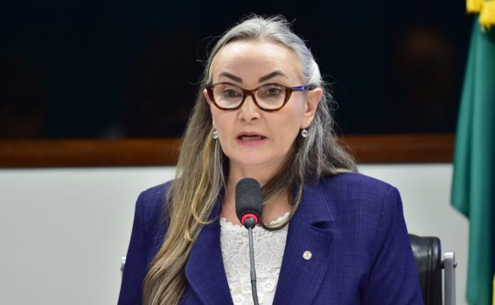 Deputada Daniela Reinehr fala ao microfone