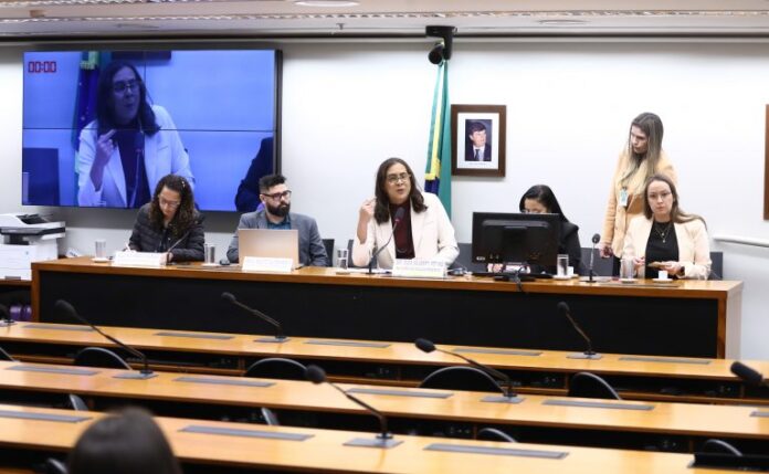 Audiência na Comissão de Segurança Pública 