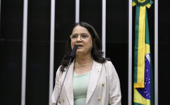 Homenagem ao Dia Nacional do Vigilante. Dep. Rosângela Reis (PL-MG)