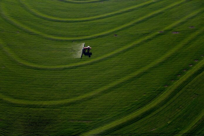 PIB do Paraná cresce 3,8% no primeiro semestre