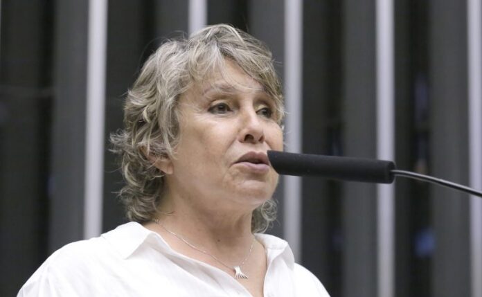 Comissão de Legislação Participativa debate fortalecimento da orientação educacional - Discussão e votação de propostas legislativas. Dep. Erika Kokay (PT - DF)