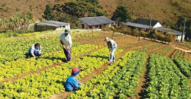 CMN facilita crédito rural para comunidades tradicionais CMN facilita crédito rural para comunidades tradicionais