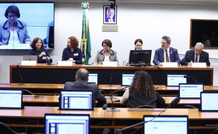 Audiência pública - Agenda transversal Crianças e Adolescentes do PPA 2024-2027 e a apuração do Gasto Social com crianças e adolescentes.