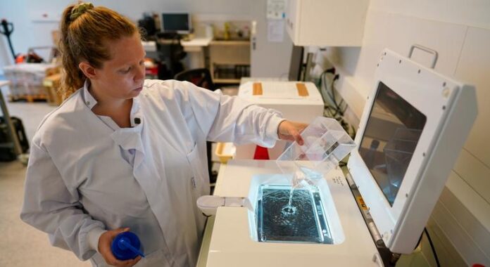 Unesco marca Semana Internacional da Ciência e da Paz com foco em soluções