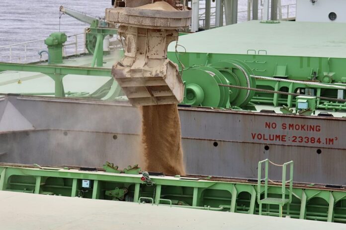 Brasil bate recorde de exportação no ano Brasil bate recorde de exportação no ano