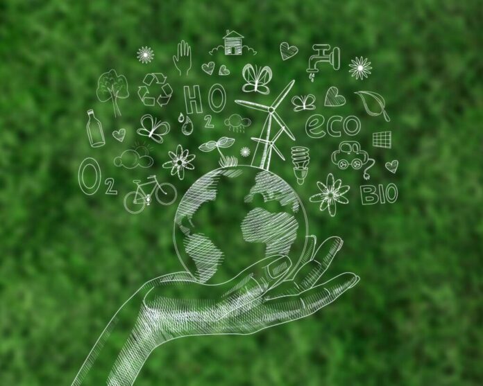 WhatsApp Image 2025-11-05 at 21.10.46