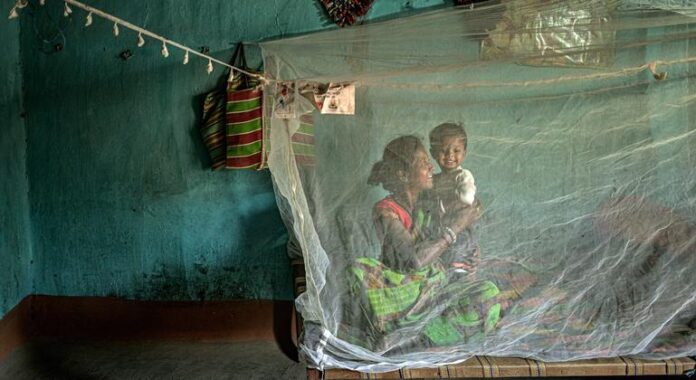 Resistência a medicamentos coloca em risco avanços para conter malária Resistência a medicamentos coloca em risco avanços para conter malária