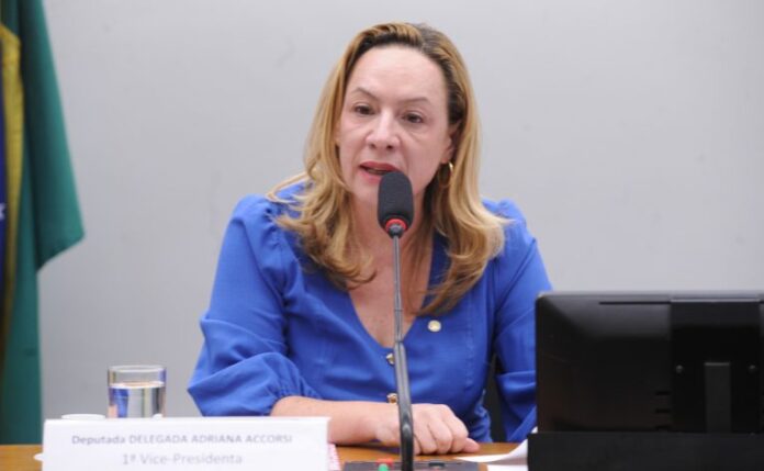 Delegada Adriana Accorsi em reunião de comissão