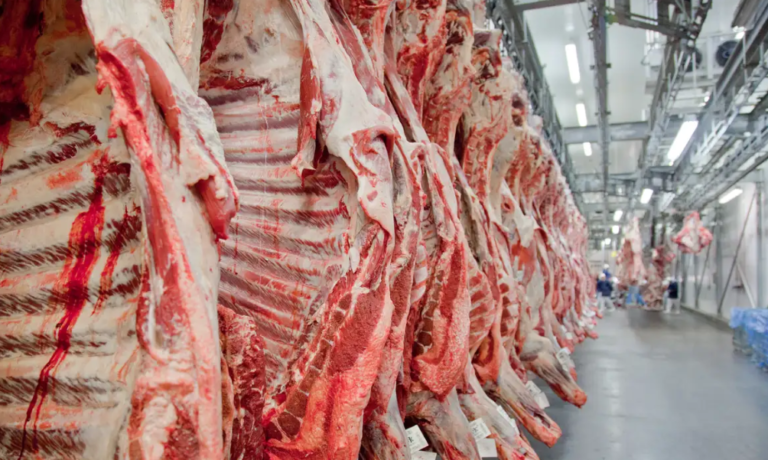 A China subsidiará a produção de carne como fez com a de leite?