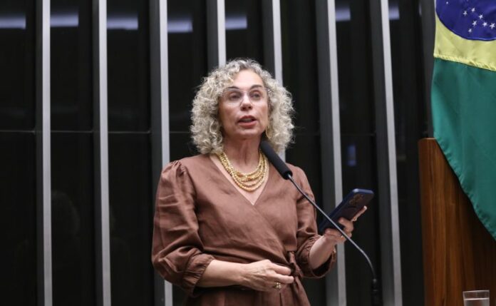 Comissão aprova ampliação da licença-paternidade para pais de bebês prematuros Deputada Ana Paula Lima fala ao microfone