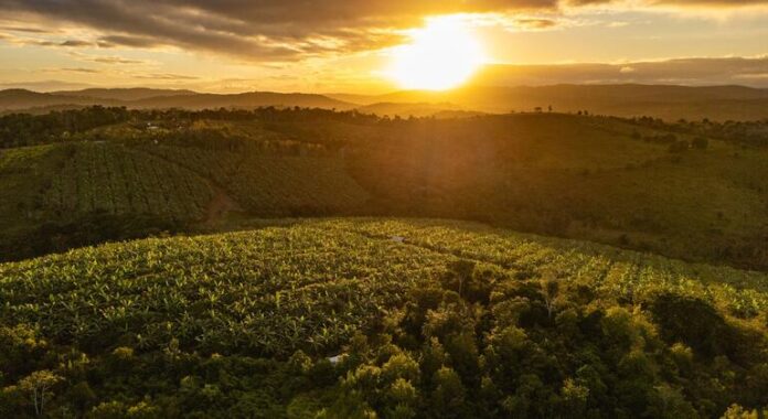 Banco Mundial apoia melhoria dos serviços sociais, de saúde e educação em Salvador