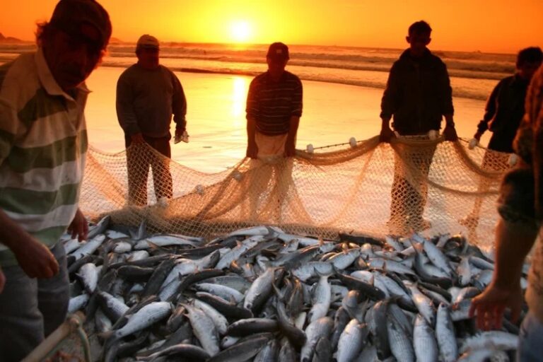 Gastronomia tradicional de Florianópolis: do mar direto para a mesa