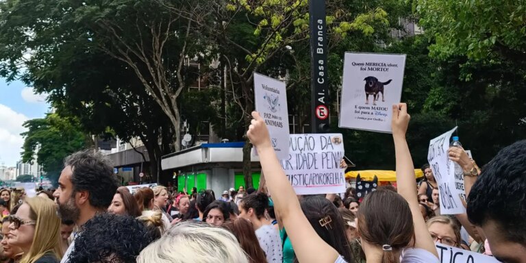 Centenas de pessoas em São Paulo pedem justiça pelo cão Orelha
