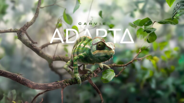 Adapta cria ecossistema de softwares adaptáveis para PMEs