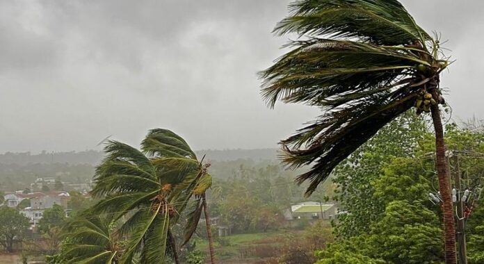 Moçambique busca cumprir metas globais após recessão e eventos extremos