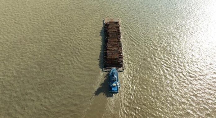 Banco Mundial aprova projeto para expandir energia renovável e empregos na Amazônia