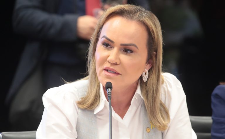 Deputada Daniela do Waguinho (União-RJ) em reunião na Câmara dos Deputados
