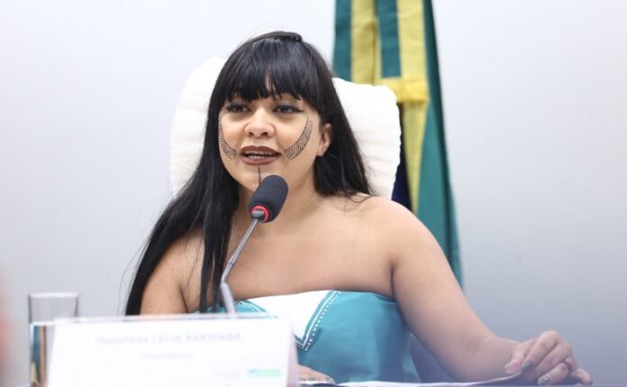 Audiência Pública - Tribuna das Mulheres e Discussão e votação de propostas legislativas. Dep. Célia Xakriabá (PSOL-MG)