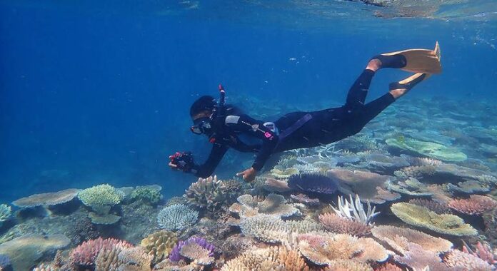 Sítios da Unesco freiam extinção em massa da vida selvagem