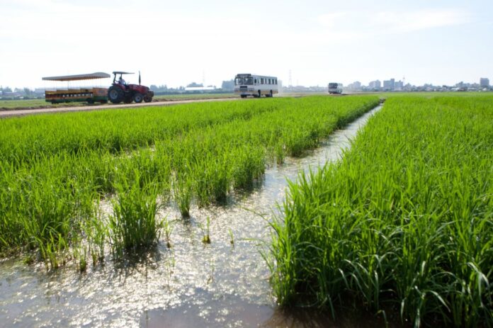 Alta do diesel deve gerar custo adicional de R$ 612 milhões nas lavouras gaúchas