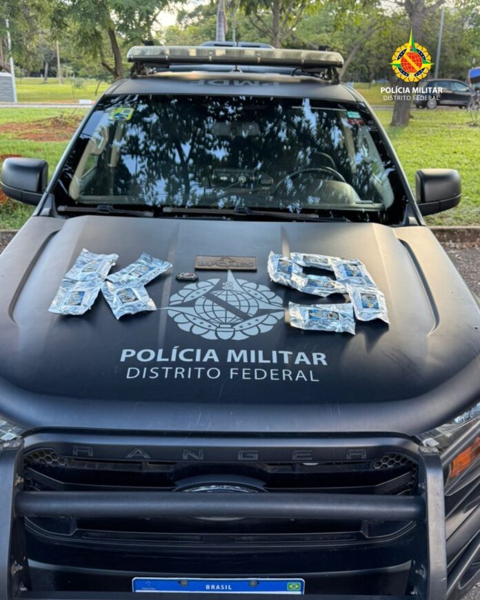 Cão farejador da PMDF intercepta droga avaliada em R$ 100 Cão farejador da PMDF intercepta droga avaliada em R$ 100 mil na Rodoviária Interestadual