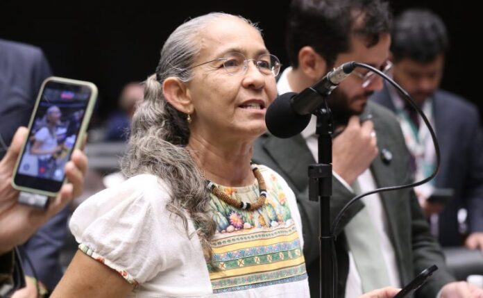 Deputada Heloísa Helena (Rede-RJ) fala no Plenário da Câmara dos Deputados