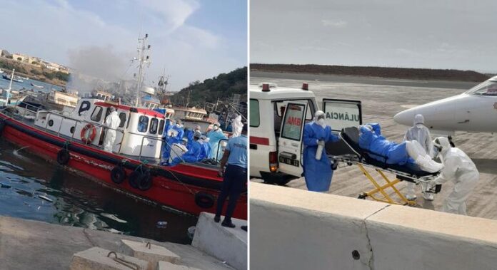 OMS: risco de surto de hantavírus é “absolutamente baixo” e OMS: risco de surto de hantavírus é “absolutamente baixo” e sem comparação ao Covid19