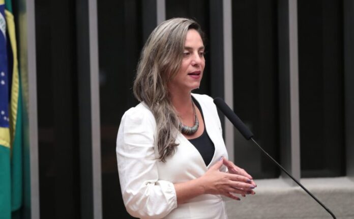 Discussão e votação de propostas legislativas. Dep. Fernanda Melchionna (PSOL-RS)